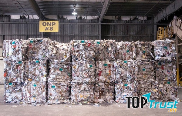 Công ty phế liệu Vina