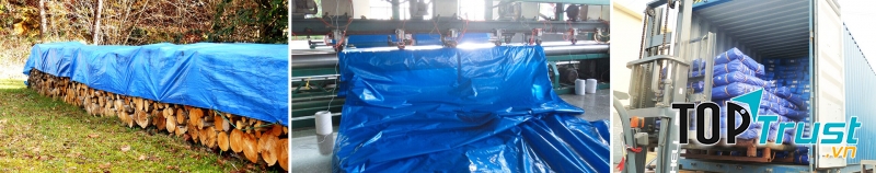 CÔNG TY TNHH MỘT THÀNH VIÊN THƯƠNG MẠI HIÊP QUANG