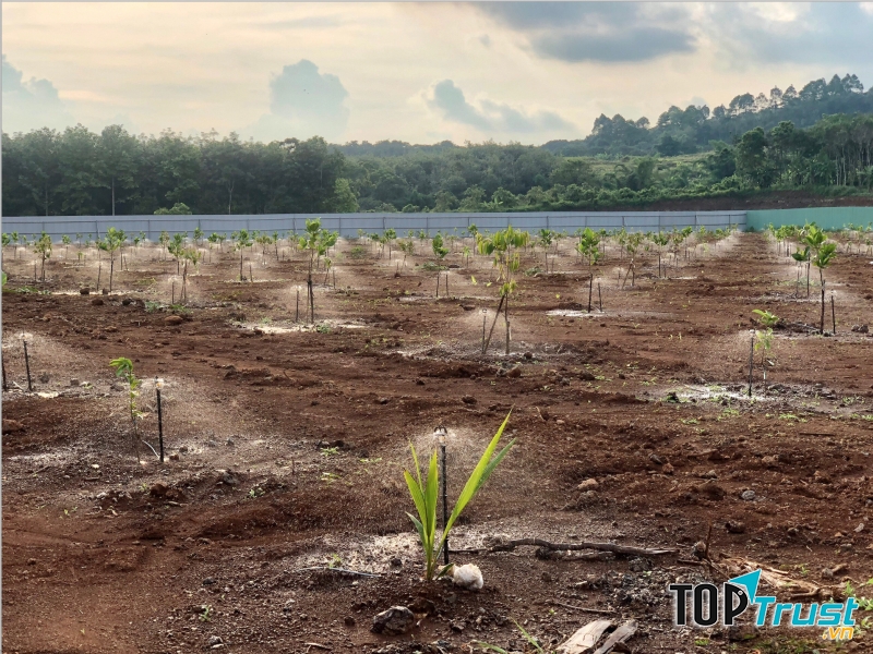 Thiết bị tưới nhỏ giọt tại Vườn Nhiệt Đới