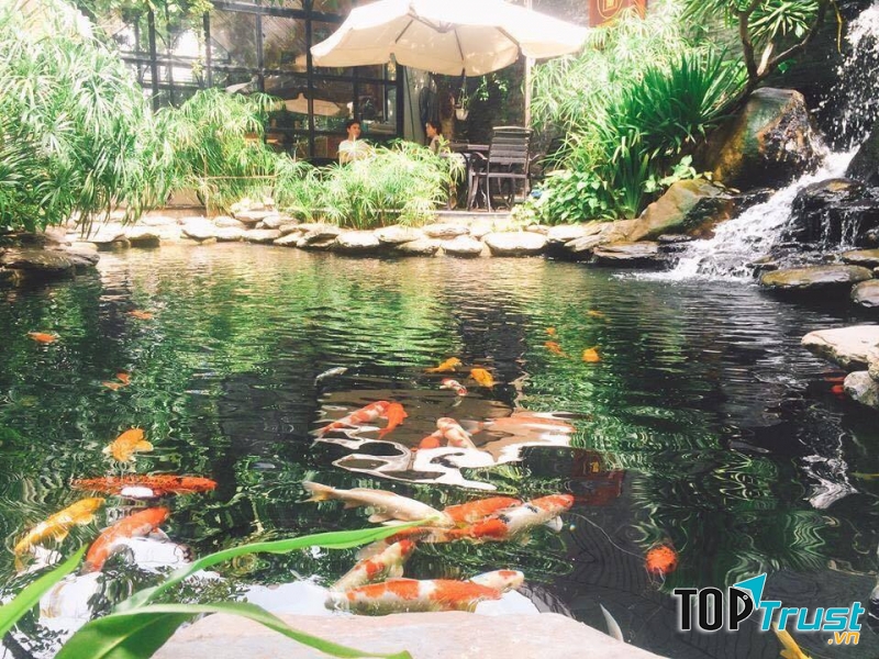 Công Ty TNHH MTV Bình Garden