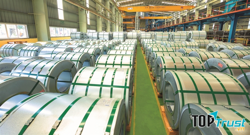 Công ty TNHH MTV Hoa Sen