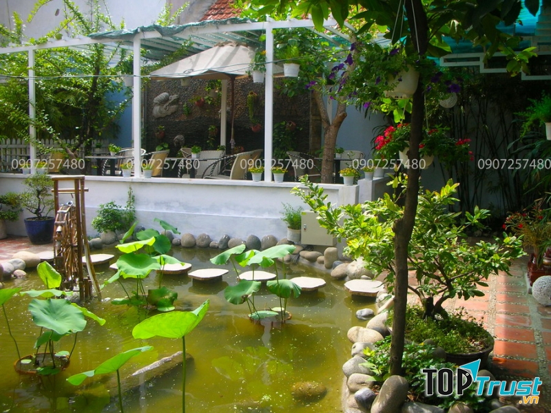 Công Ty TNHH MTV Phong Cảnh Xanh Thiện Mỹ