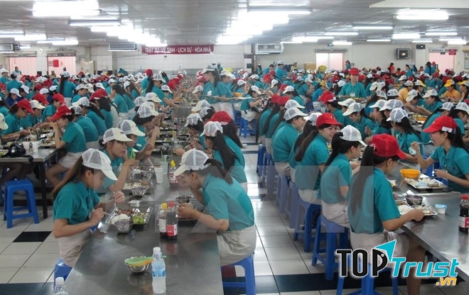 Công ty TNHH MTV Phương Anh Nam