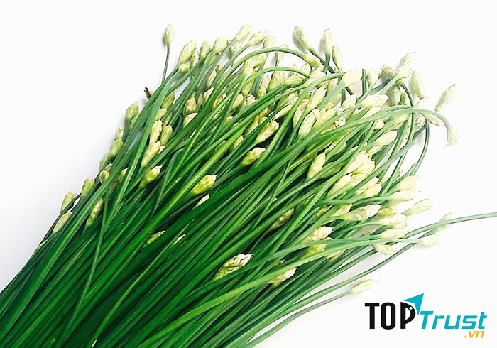 Nông sản Dũng Hà