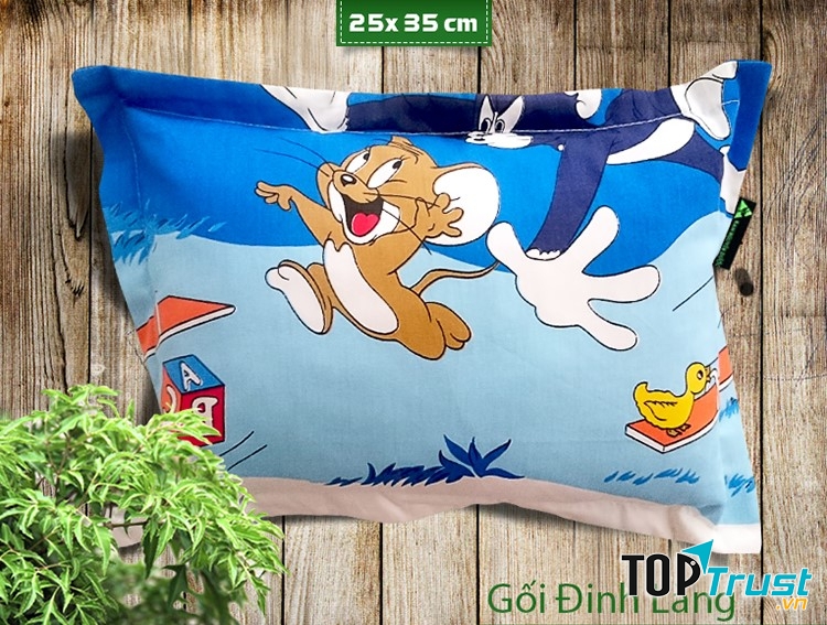 Gối Đinh lăng Tấn Phát