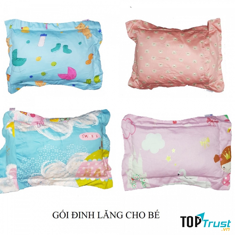 Gối đinh lăng Tấn Phát