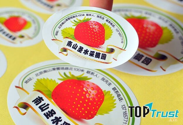 In tem nhãn đẹp mà giá rẻ