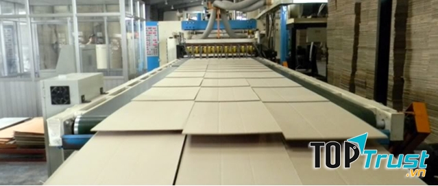 Công ty TNHH MTV Bao bì Toàn Cầu