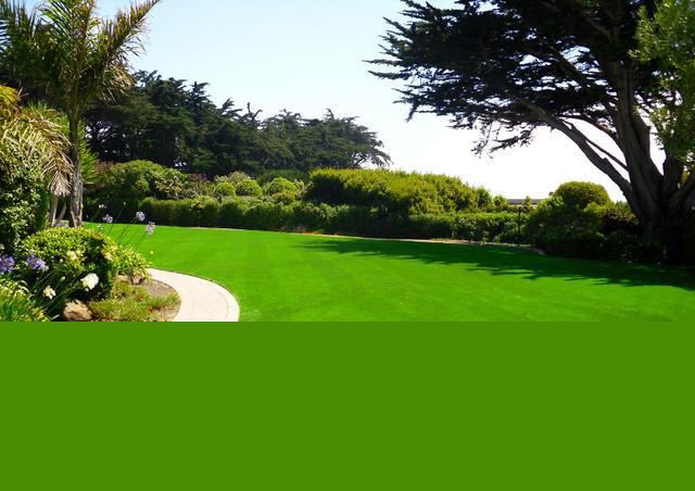 Công ty TNHH Thương mại và Phát triển Thành Công