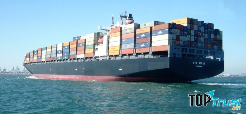 Vận tải Container đường biển là một thế mạng của công ty