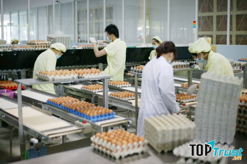Công ty TNHH TM – SX Trại Việt