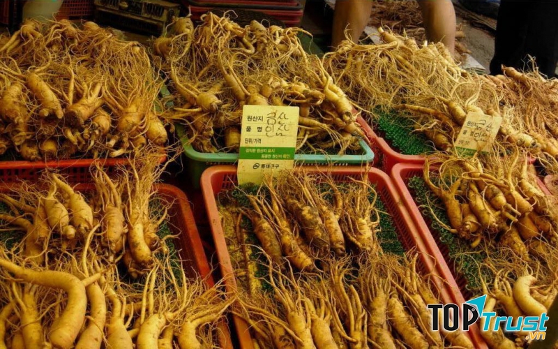 Nhân sâm tươi Hàn Quốc