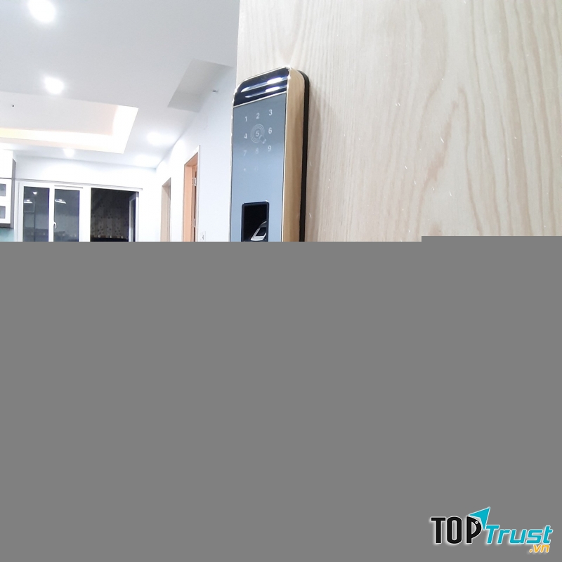 Công ty TNHH TM&XNK SELLO