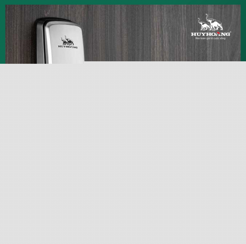 CÔNG TY TNHH TMĐT VÀ DV HUY HOÀNG