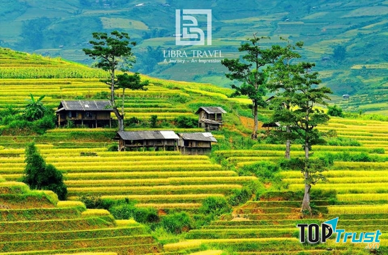 Công ty TNHH TMDV lữ hành quốc tế Libra