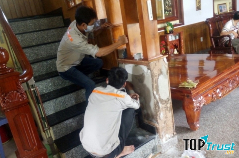Dịch vụ diệt mối của Công ty TNHH trừ mối Đại Việt