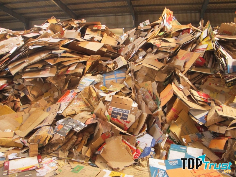 Công ty TNHH Và dịch vụ Tân Tiến Phát