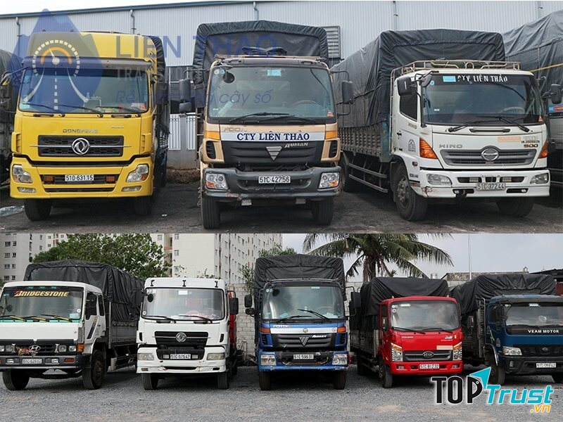 Công ty TNHH Vận Tải Liên Thảo