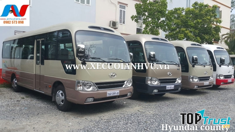 Dàn xe 45 chỗ của công ty.