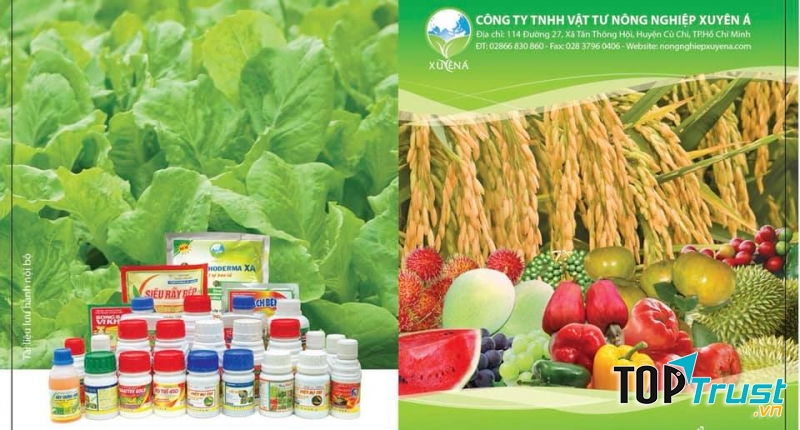 Công ty TNHH Vật tư Nông nghiệp Xuyên Á