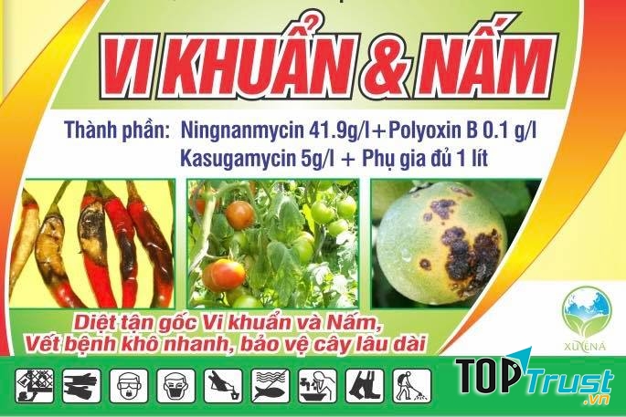 Công ty TNHH Vật tư Nông nghiệp Xuyên Á