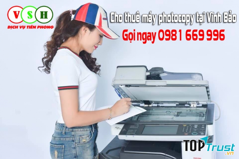 Công ty TNHH Việt Số Hóa