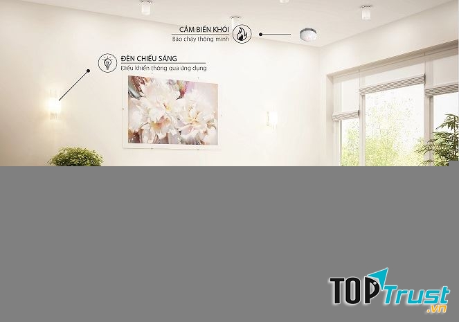 Công Ty TNHH Vinteli