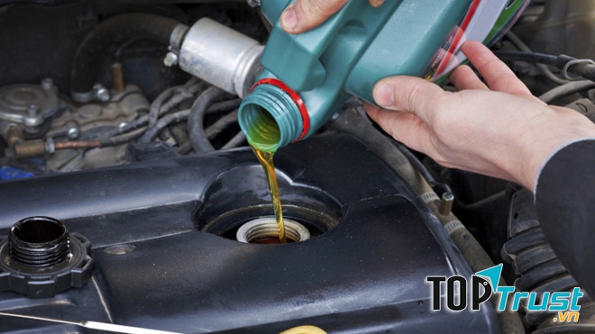 Công Ty TNHH XNK Dầu Khí SinViệt