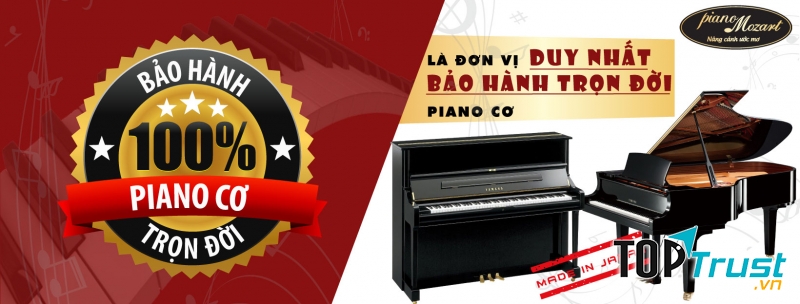 Công ty TNHH XNK Nhạc cụ Piano Mozart