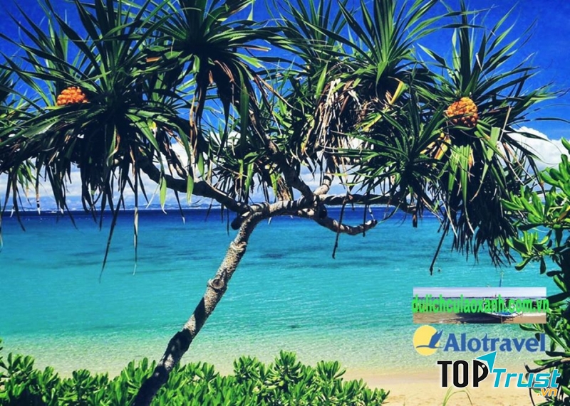 Công Ty Tour Du Lịch Quy Nhơn - Alo Travel