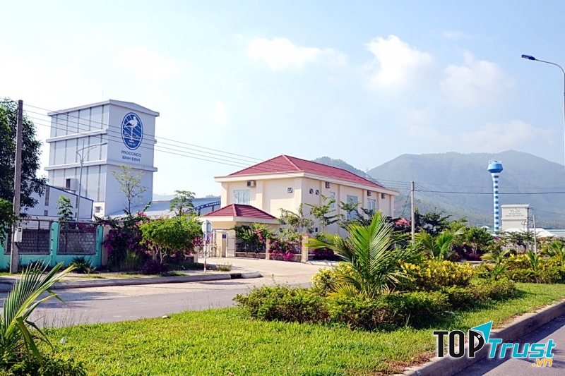 Cty TNHH MTV Con Cò Bình Định