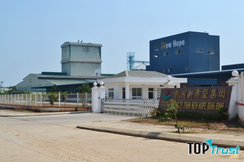 Cty TNHH New Hope Bình Định