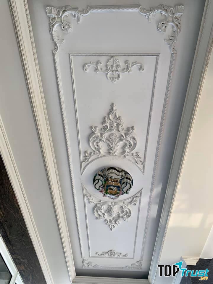 Công ty trang trí phào chỉ Tân Cổ Điển