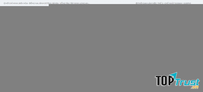 Công ty Việt Mỹ