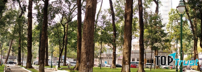 Cây xanh tại công viên 30-4