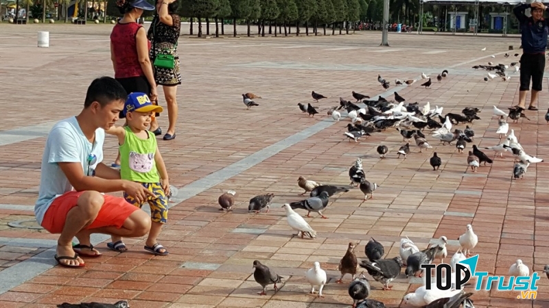 Thư giản và cũng ngắm bồ câu.