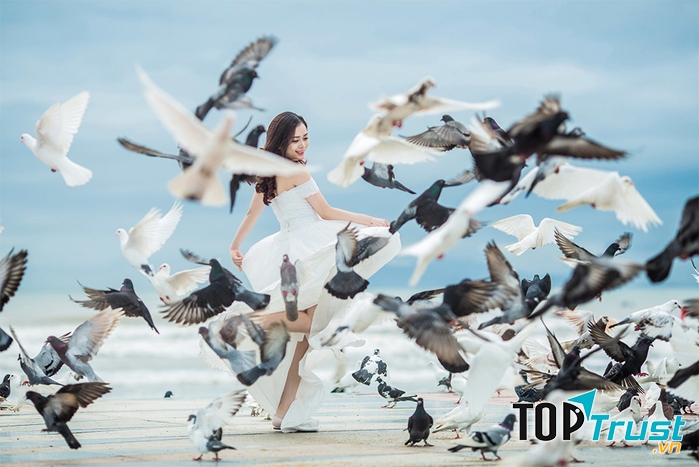 Một trong những điểm đặc biệt thu hút du khách đến với công viên Biển Đông chính là hàng nghìn con bồ câu trắng tung cánh rợp bóng trời.
