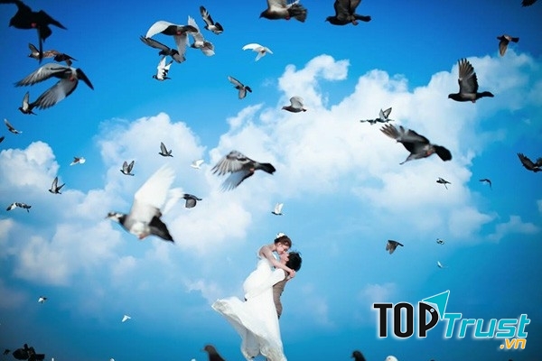 khung cảnh đẹp với đàn bồ câu đẹp mê hồn