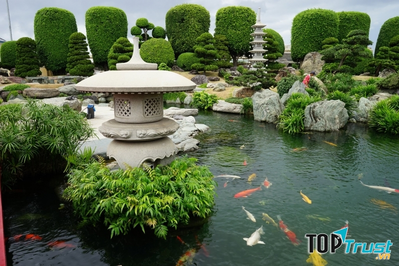 Hình ảnh tại công viên cá Koi