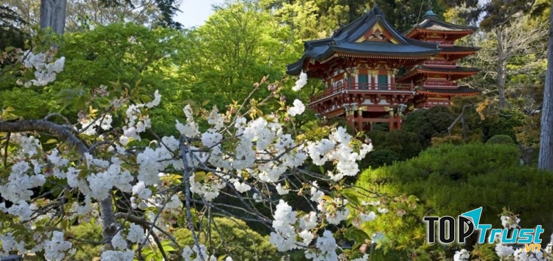 Công viên Công viên Golden Gate, San Francisco, đón đến 13 triệu du khách/năm