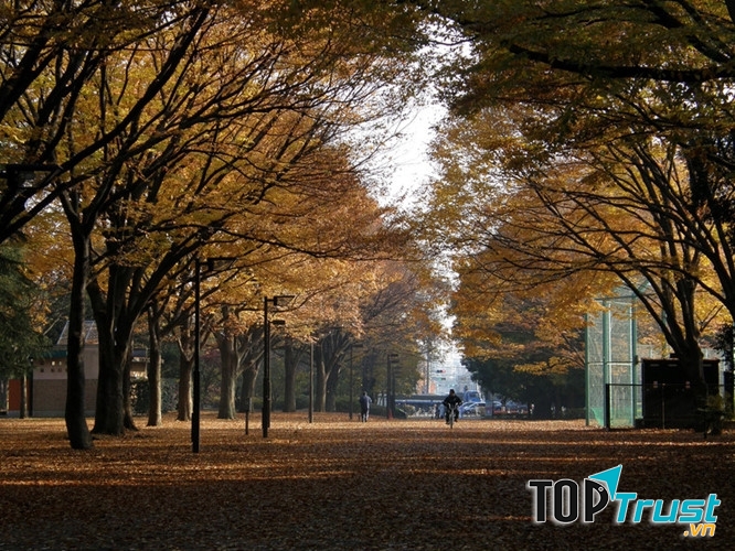 Một hình ảnh đẹp tại Kinuta