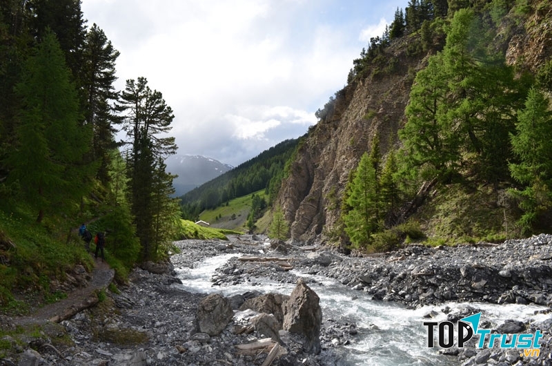 Công viên quốc gia Thụy Sĩ ra đời nhằm mục đích bảo vệ các loài động thực vật