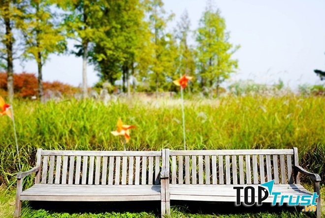 Công viên Seonyudo