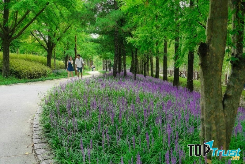 Công viên Seonyudo