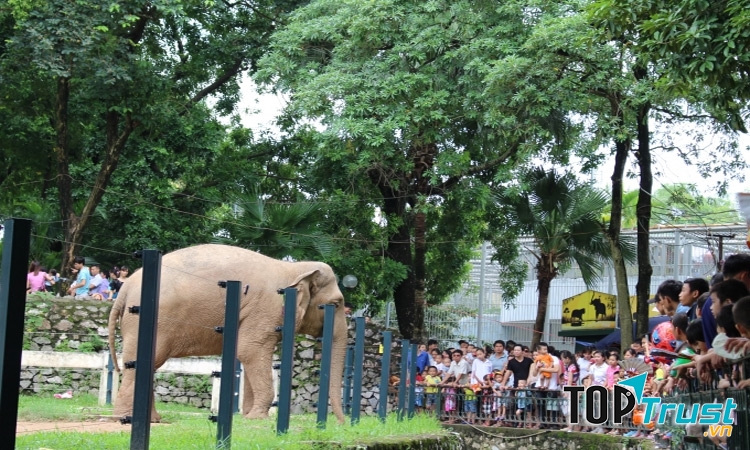 Khu động vật ở công viên