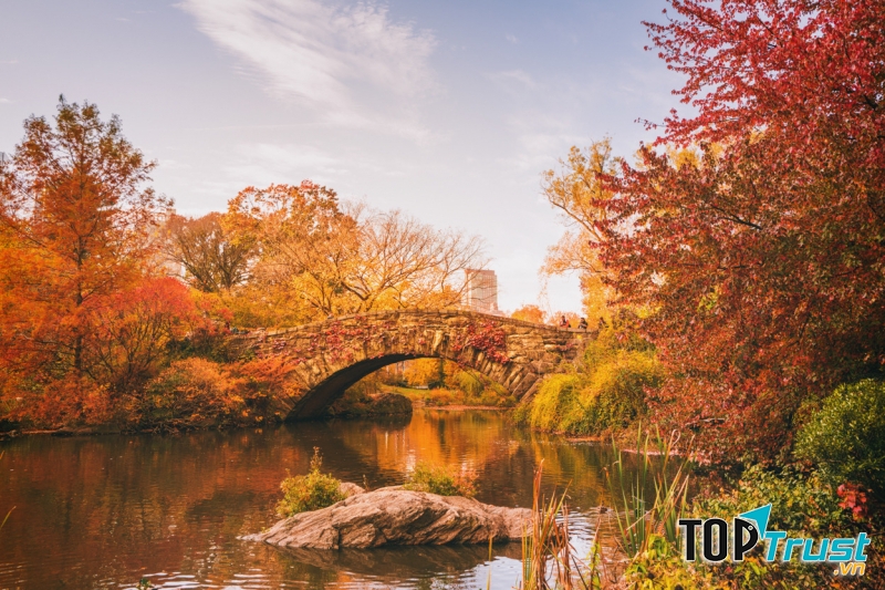 Công viên trung tâm New York (New York Central Park)