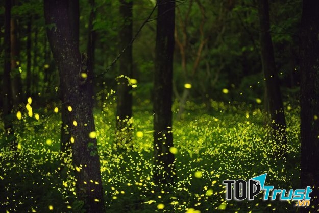 Thời gian thích hợp để đến đây là cuối tháng năm hoặc đầu tháng sáu.