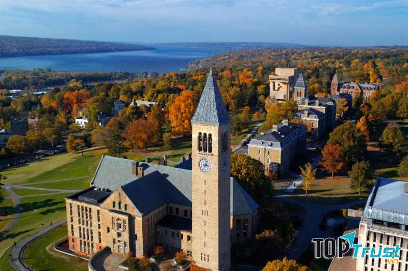 Cornell University