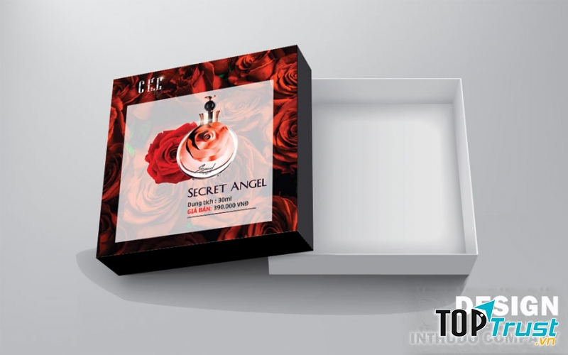 CTCP Phát triển In Thủ Đô