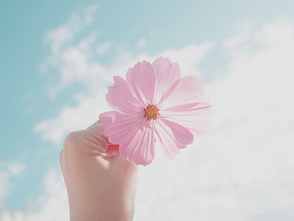 Lưu lại hạnh phúc ta hạnh phúc